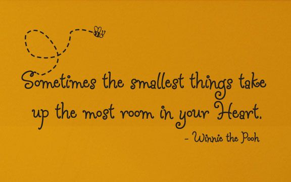   POOH Quote Sometimes the smallest things Wall Vinyl Decal  