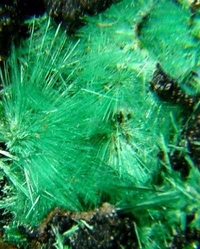 Electric Green Needle BROCHANTITE Crystals Congo  