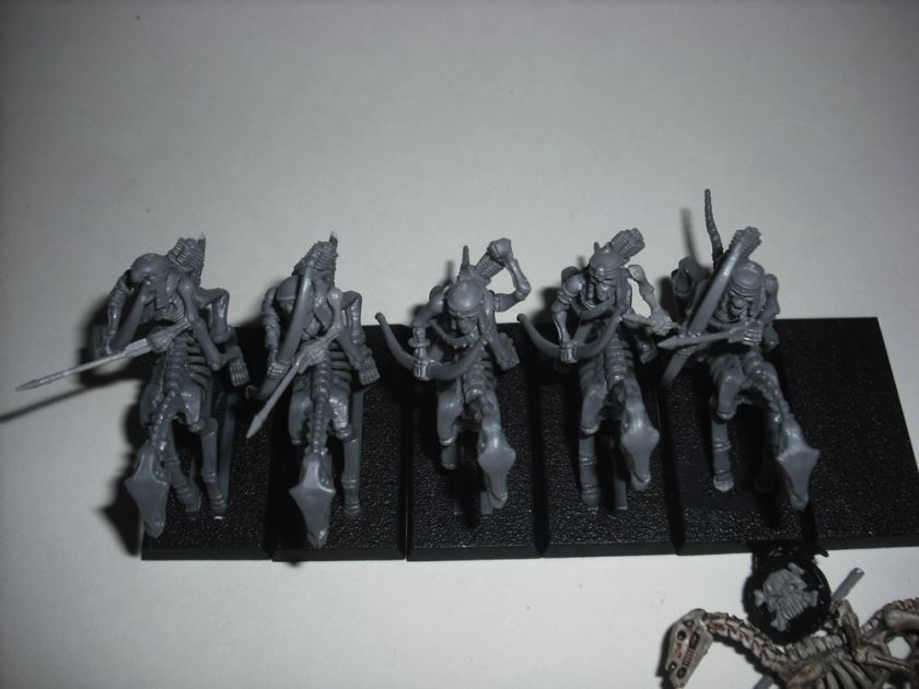 Tomb Kings Skeletons Horsemen Warhammer  