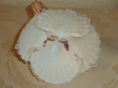 Seashell Doll Souvenir of Virginia Beach Shell OOAK  