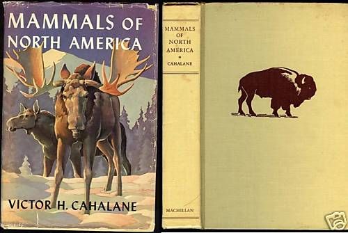 MAMMALS OF NORTH AMERICA Cahalane 92 Jaques Illus  