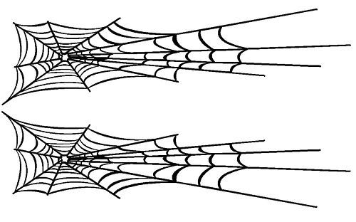 Spider Web Vinyl Decals Stickers (42 x 11)  