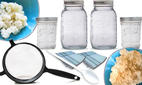 Milk & Water Kefir Grains FULL COMBO KIT Strainers Jars  