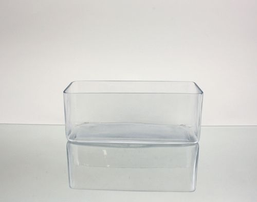 x10x4H Rectangle Clear Glass Vases Wholesale Vase  