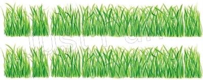 Grass ~ Tatouage   See FREE SHIP OFFER*  