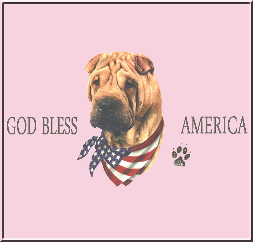 God Bless America Shar Pei US Flag Shirt S 2X,3X,4X,5X  