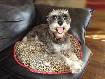 Leopard Printed Faux Fur Round Dog Cat Mat Pillow Bed  