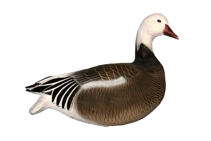 DAKOTA BLUE GOOSE DECOYS FULL BODY SNOW DECOYS NEW SOCKS, SILHUETTES 