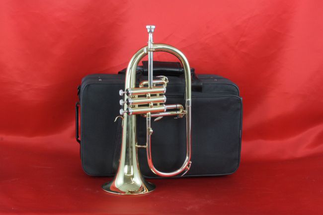   Bb Flugelhorn with Deluxe Case and Mouthpiece, New, SEE VIDEO  