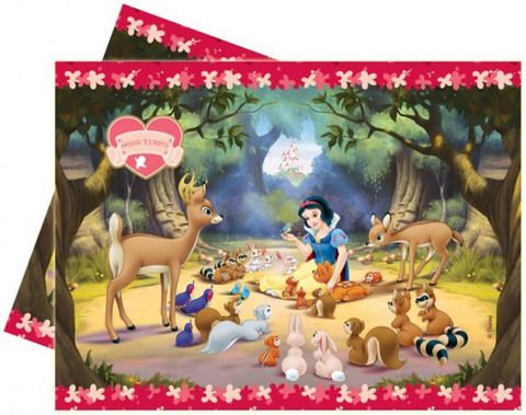 Disney SNOW WHITE birthday party decoration decorations  